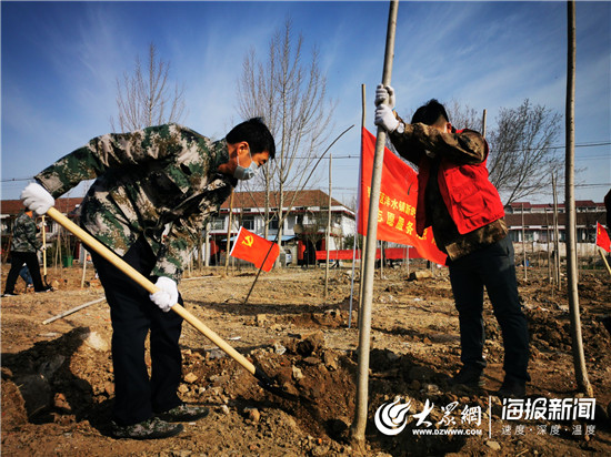 张店区园林绿化,新增百万亩国土绿化行动总结