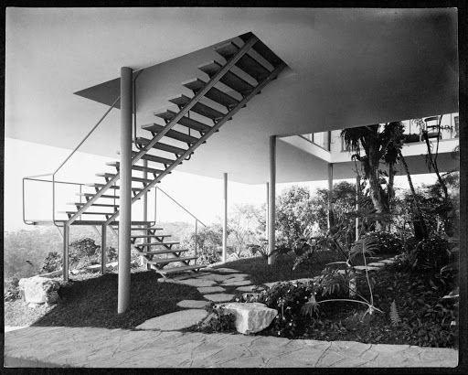 一起来植树的视频,今天适合植树吗