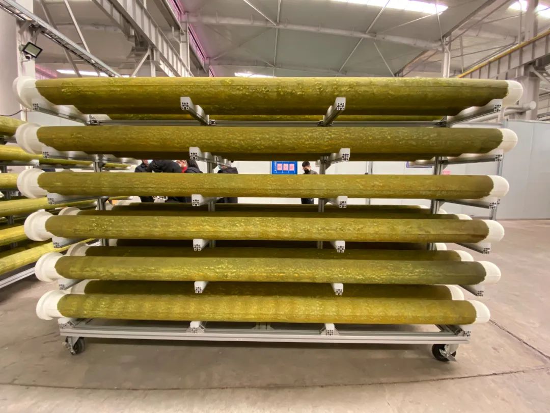 「记者行」“琦泉”：将绿色、循环进行到底