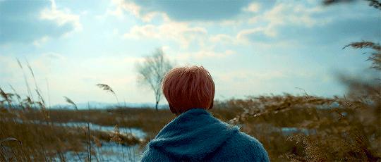 寻香|五彩斑斓的黑算什么,来见识一下五光十色的白