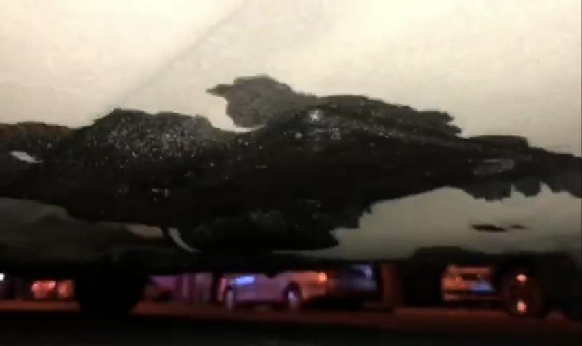 2019福特金牛座漏油,福特金牛座油底壳缺陷