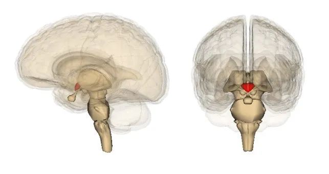 5岁儿童无症状连续1天高烧40°,4岁儿童住院治疗反复高烧4天