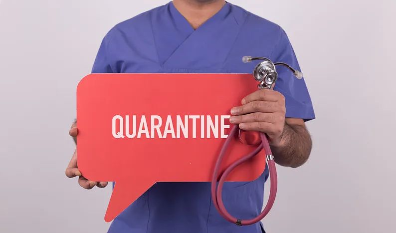 译林英语使用方法,译林怎么译