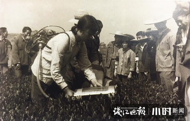 问茶③｜失而复得的径山茶，耄耋老人用毕生书写与径山的一世茶缘