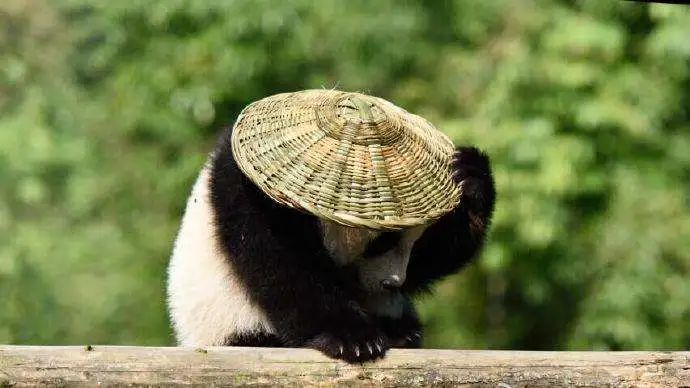 古代的下雨天和什么最配？