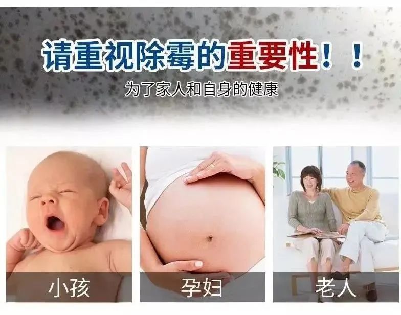 回南天除霉神器,回南天除霉剂