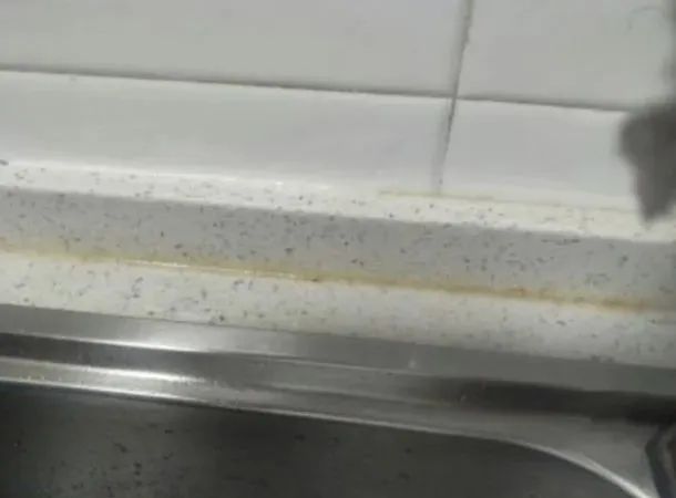 “回南天”霉菌爆发，澳大利亚来的除霉啫喱，彻底「斩霉除根」