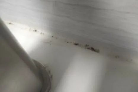 回南天除霉神器,回南天除霉剂