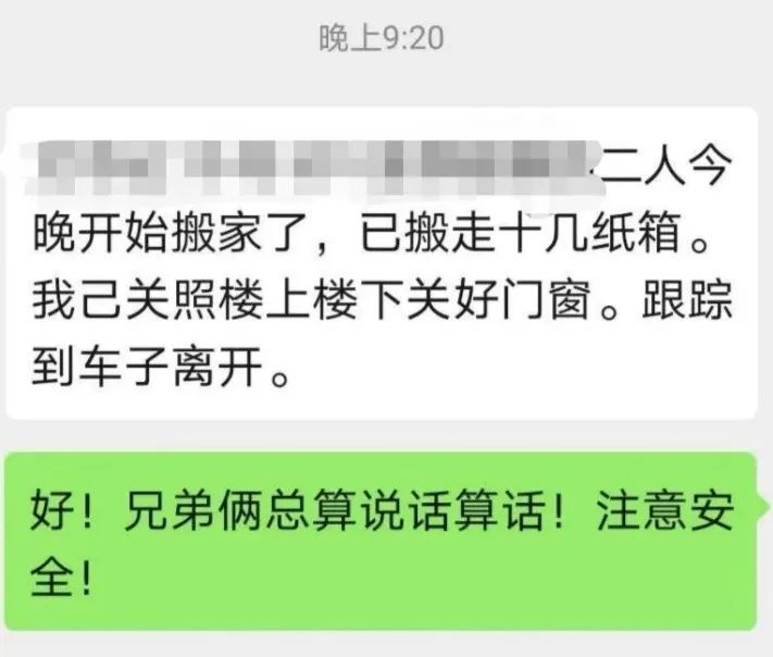 头皮发麻蟑螂竟当成宠物网上售卖,家里养了1万只蟑螂