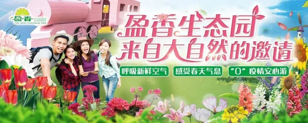 佛山黄岐文体中心最新进展,佛山最新景区活动