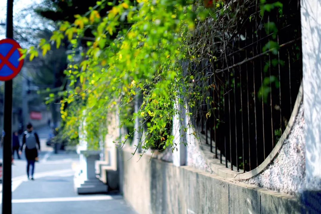 古诗词中的春天的美,春天里的古诗词美篇