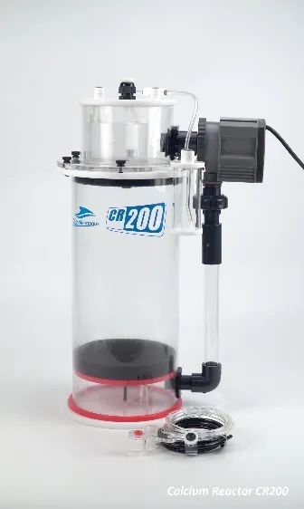 2020款,BM第3代钙反实测