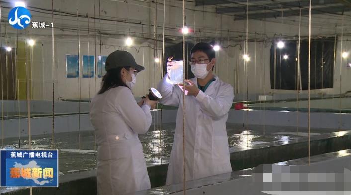 春季大黄鱼病害问题如何防治？别急，省农科院专家为您支招