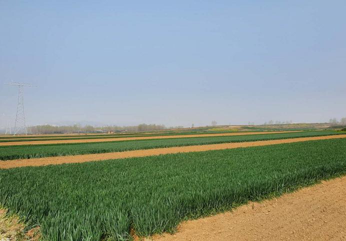 卧龙区蒲山镇基本农田公示图,卧龙区高标准农田