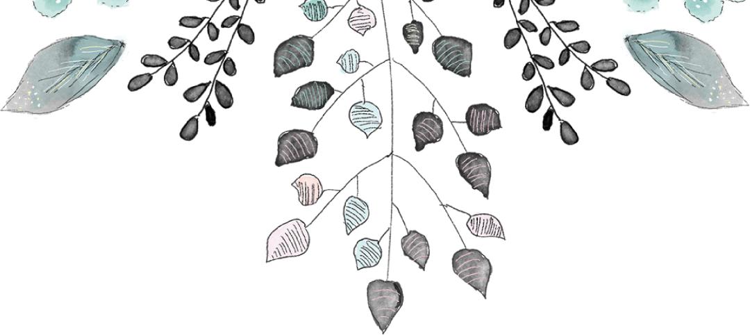 劲草同行2020届新伙伴名单公示