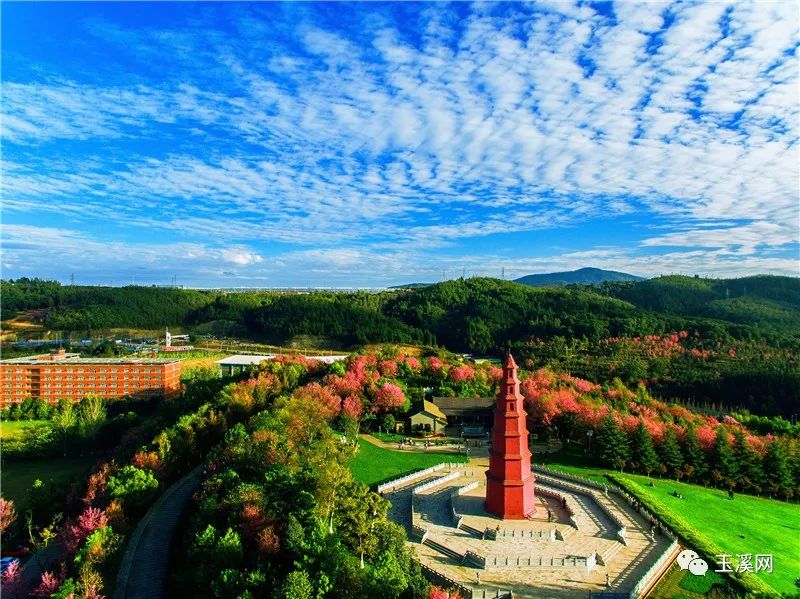 诗情画意文峰路,诗情画意岩茶