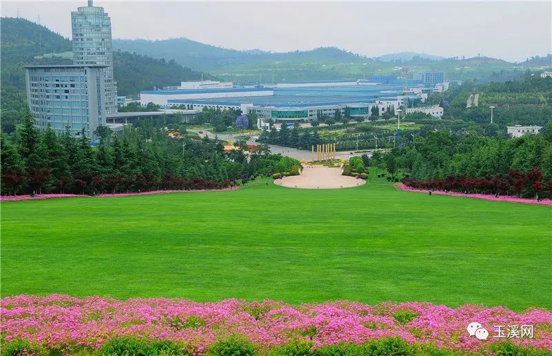 诗情画意文峰路,诗情画意岩茶