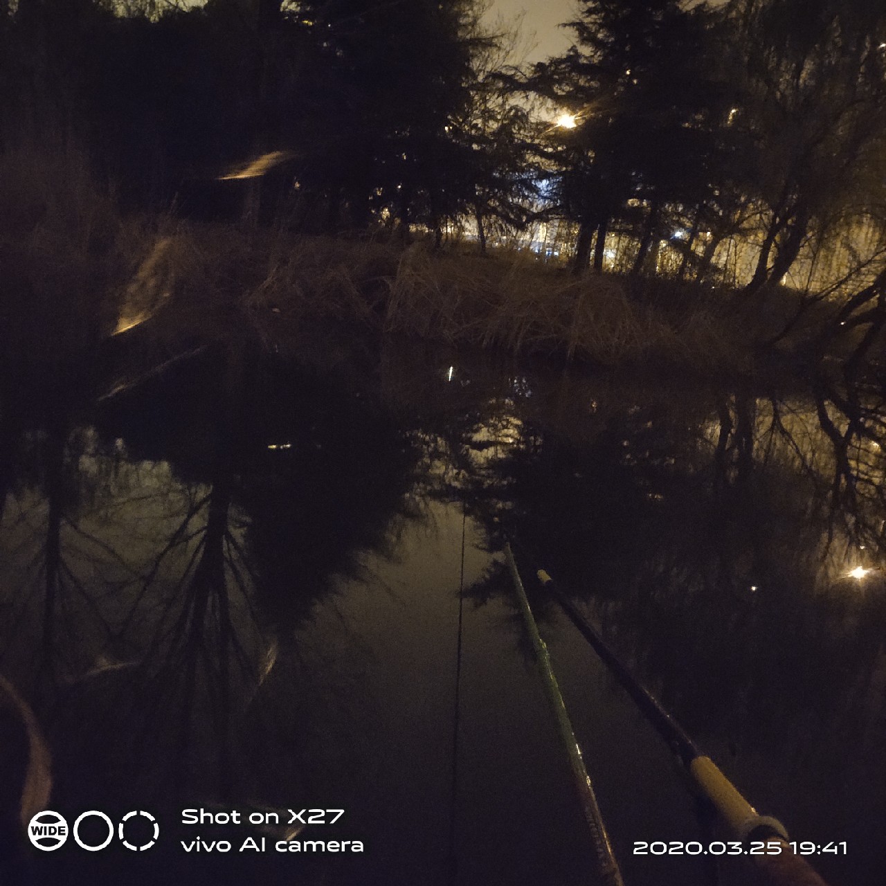 夜钓1号爆护位，人家鲤鱼爆护，我鲤毛未见