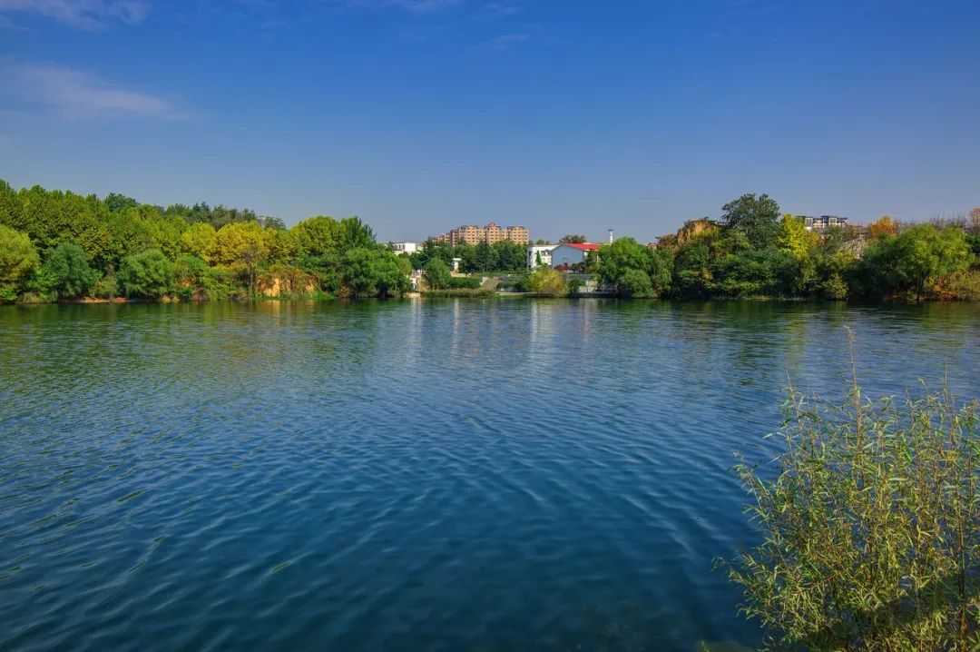 14年耕耘,9家房企驻扎,洞林湖迎来高光时刻