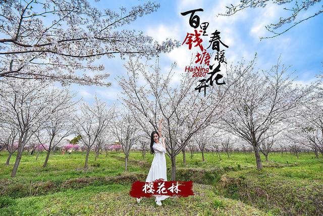 海洪宁静,海洪宁静海涛宁谧什么意思