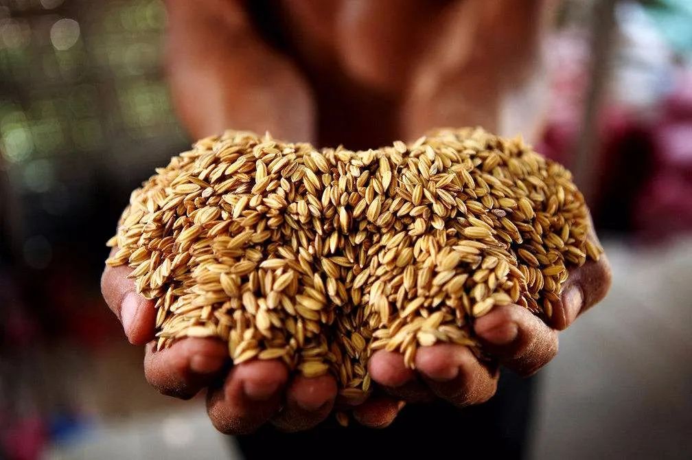 新冠疫情对粮食的影响,联合国发出疫情期间粮食警告