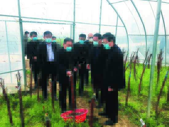 聚力脱贫攻坚乡村振兴活动,凝心聚力打赢脱贫攻坚战