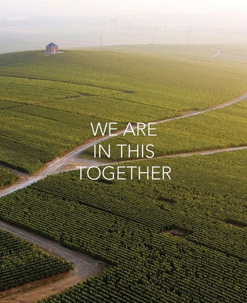 pradalv哪个好,prada跟lv