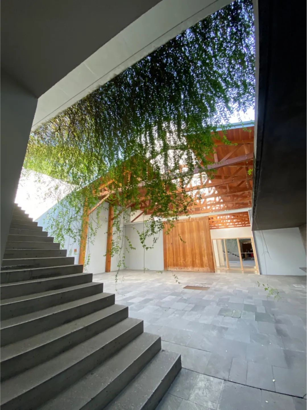 无为而为的浪漫，不得不去的墨西哥在召唤