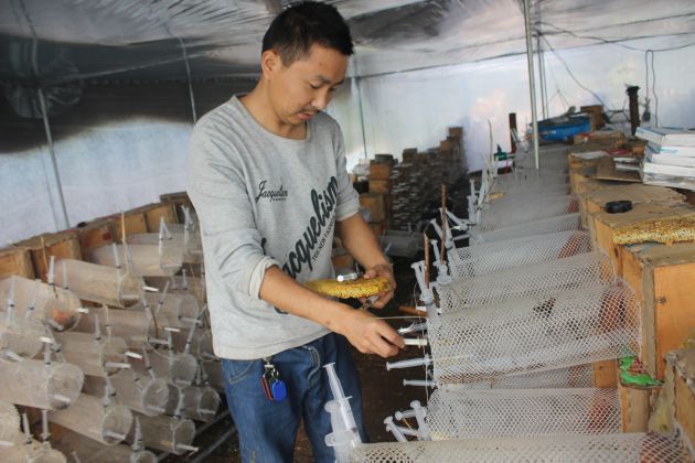 “三剑客”的小康梦——“土蜂王”杨荣富父子的创业人生