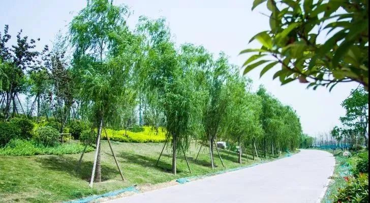 郑州北龙湖水域面积简介,北龙湖水域面积