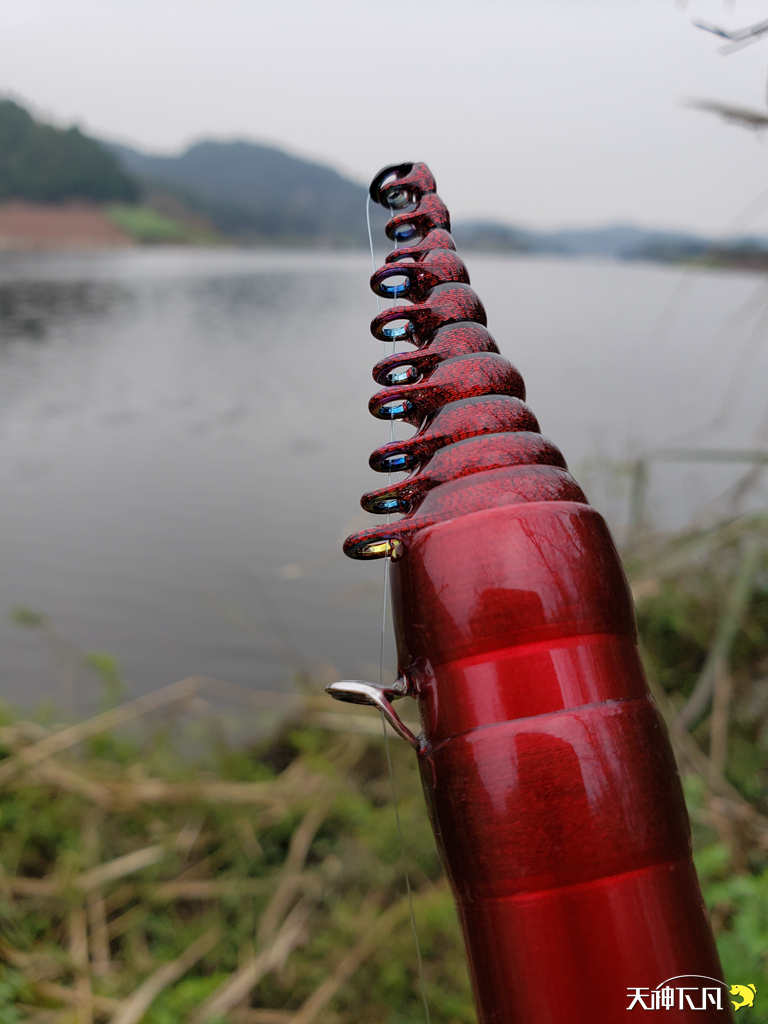 凤凰涅盘浴火重生对火的崇拜,凤凰涅盘浴火重生需要的是勇气