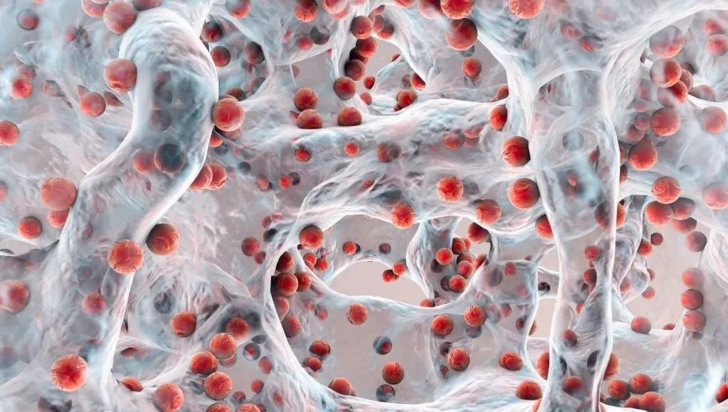 益生菌抗衰老调理皮肤吗,益生菌菌种对皮肤的作用