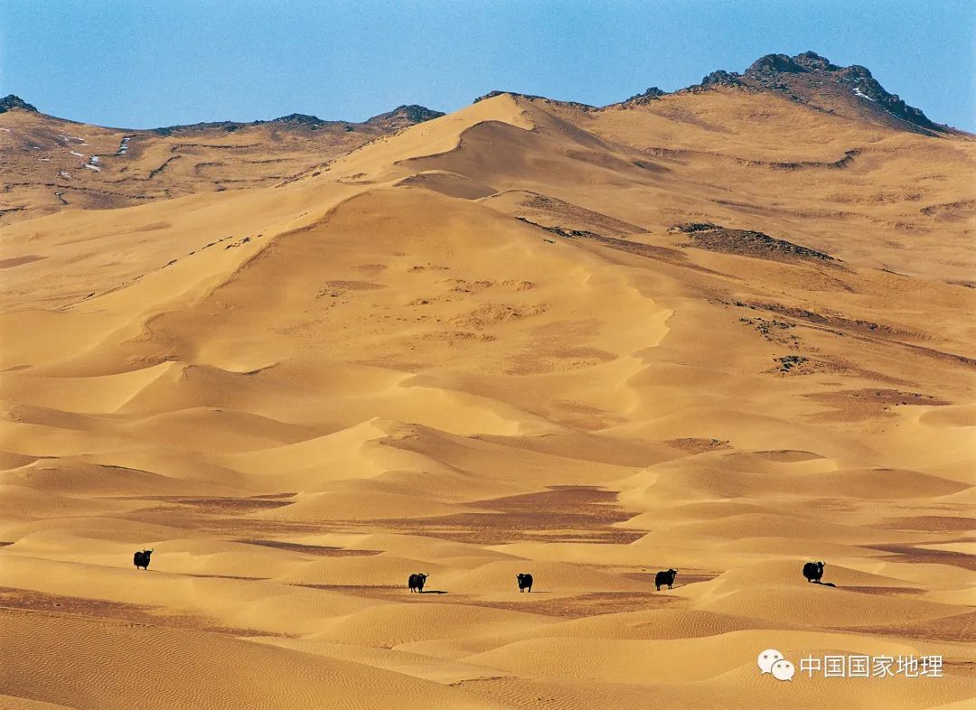 中国之美，你真的懂吗？