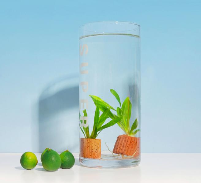 VvvvVvvVVvvvvvVvvVvvv