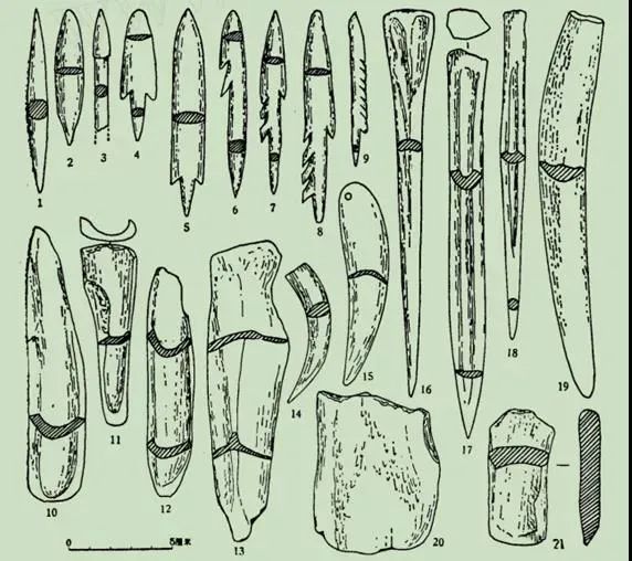 舌尖上的中国横县鱼生余师傅,舌尖上的美食之横县鱼生