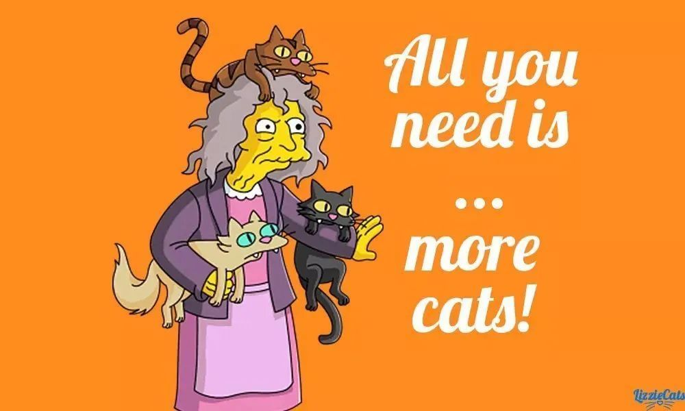 猫是当代年轻人的精神寄托,为什么说猫是最完美的猎手