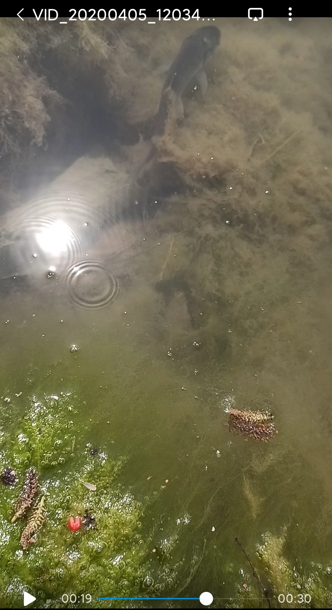 5.4鱼竿碰到大鱼老切线,5.4米鱼竿不适合野钓吗