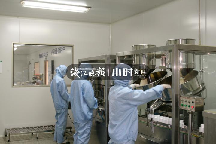 你吃过吗？松树花开满枝清香，这时节浙东一带乡间人手一只松花金团