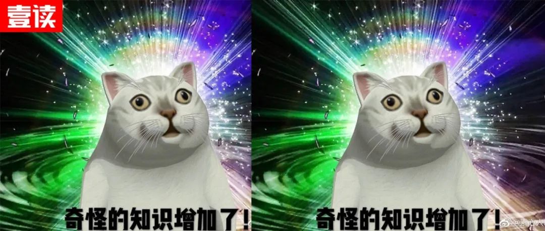 中国第一营销大师雷军,中国第一网红主播罗永浩