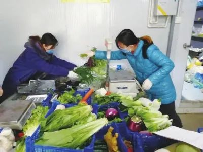 金城观丨云上的生活