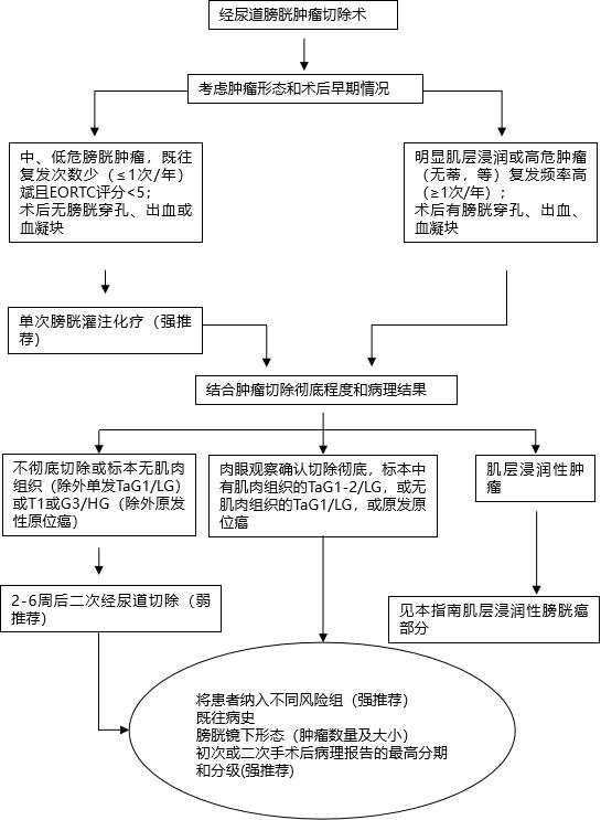 eau2020,肌层浸润性膀胱癌欧美