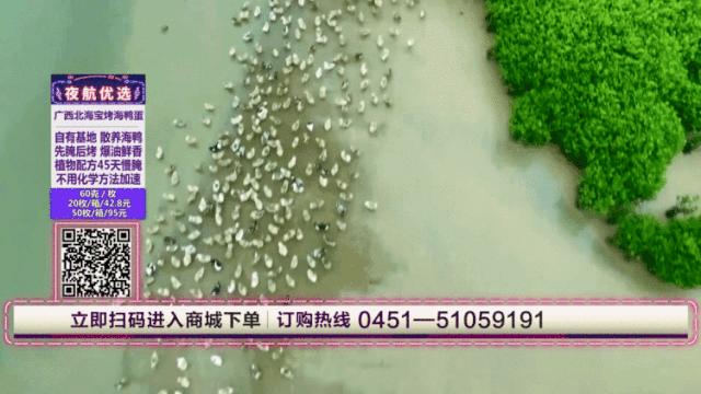 腌好的海鸭蛋怎么做,海鸭腌蛋土鸭蛋