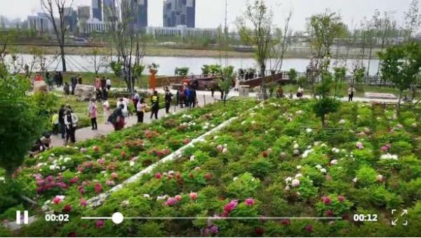 建业桂园公园,建业桂园院望洛阳