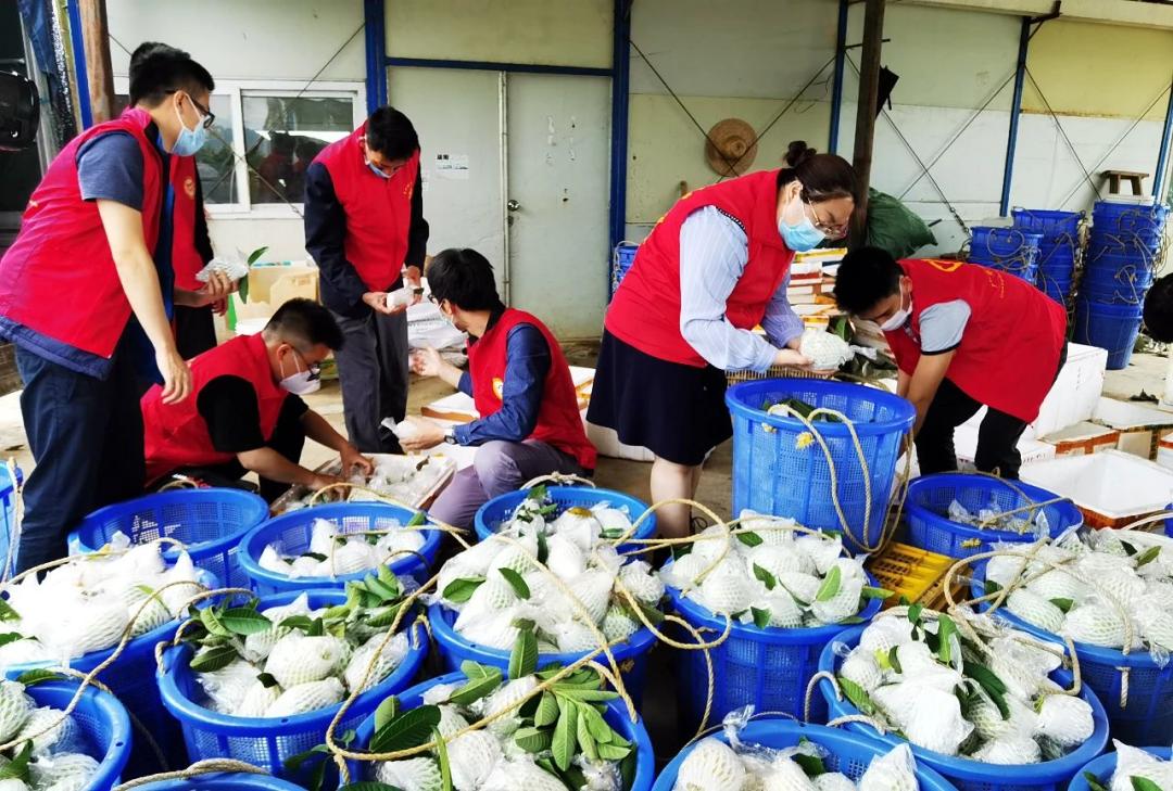 联合国基金会志愿者,联合国为中国人点赞