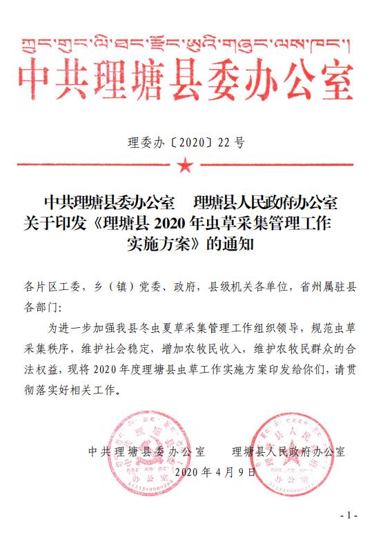 四川藏区最大的虫草产区和交易集散地理塘县启动虫草采集管理工作