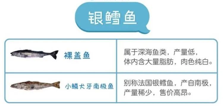大人和小孩都能吃的鳕鱼做法,鳕鱼不放盐怎么做宝宝喜欢吃