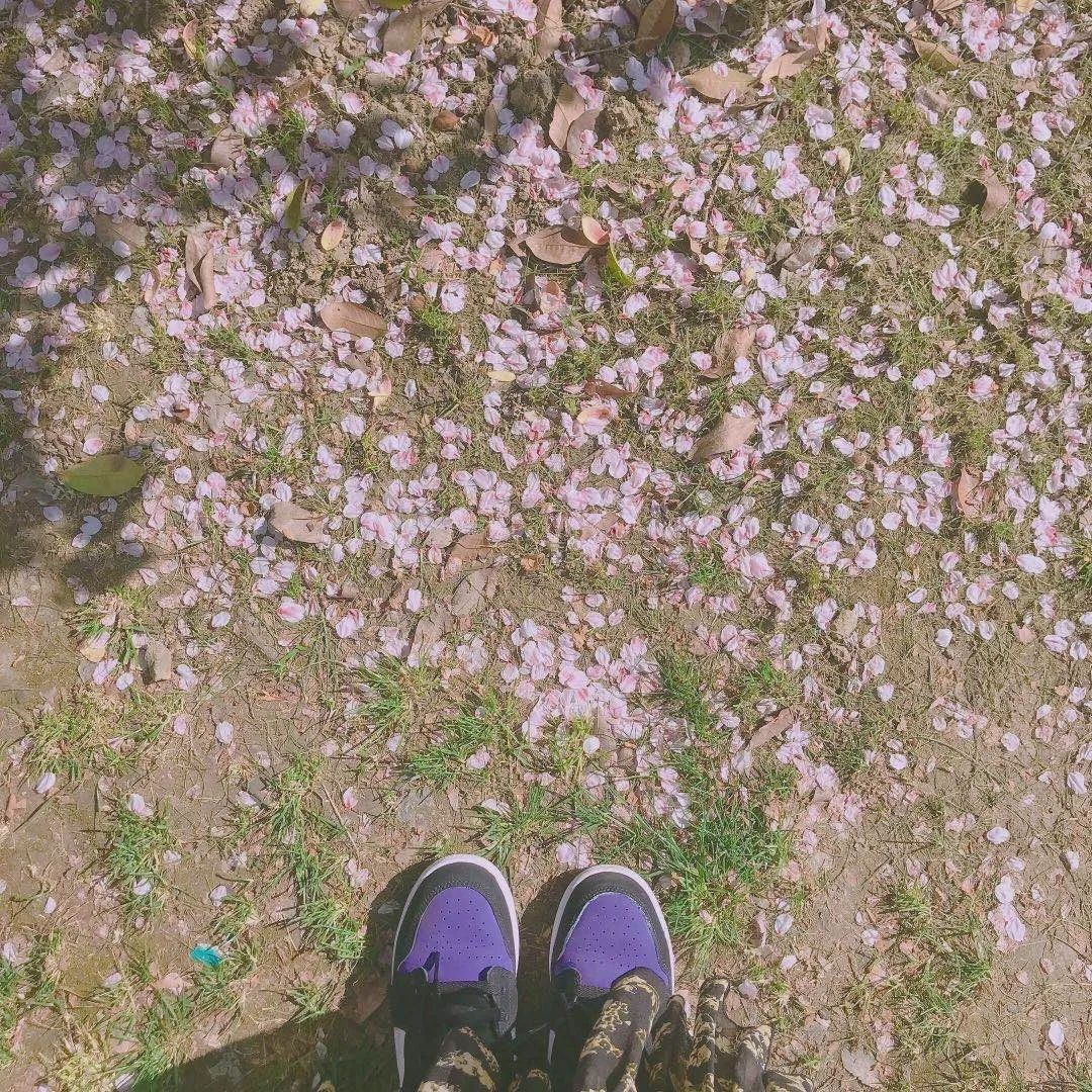 春日美妆大赏护肤品,秋冬粉底液奶油肌推荐