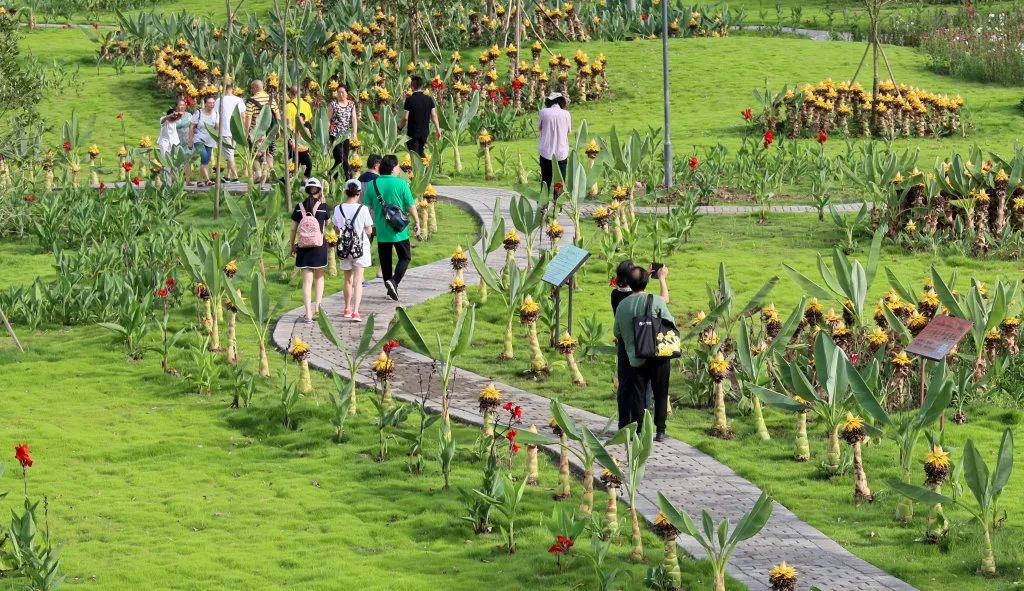 经济日报乡村文化振兴,经济日报关于脱贫攻坚的成就