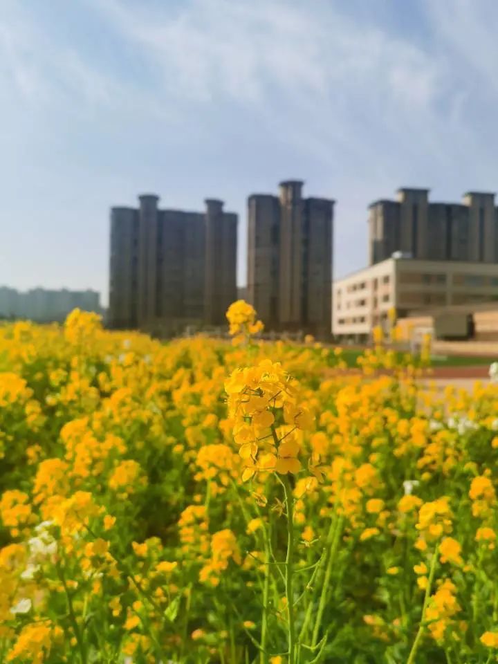 四月校园联谊,四月相聚