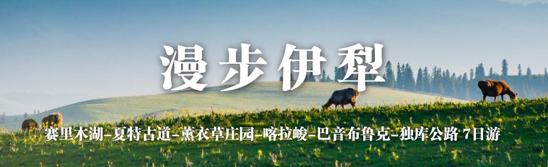 世界上珍贵的瞬间,世界上最珍贵的都是用心感受到的